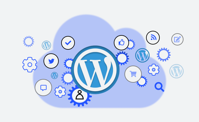 Best WordPress Web Design Agency Services in islamabad