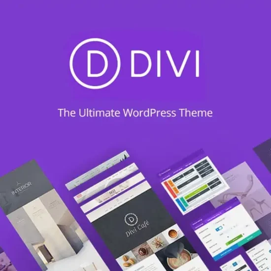 Download Divi WordPress Themes, Plugins & Kits for Free