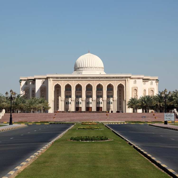 Professional Digital Marketing Services Sharjah for businesses