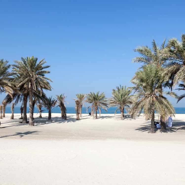 Professional Digital Marketing Services Umm Al Quwain for businesses